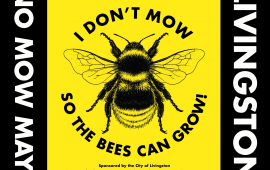 No Mow May poster image. I don't mow so the bees can grow.