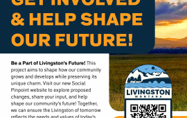 Survey Flyer