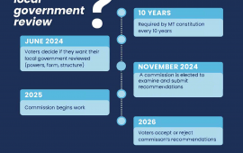 Local Government Review Timeline
