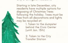 2022 Christmas Tree Disposal Options