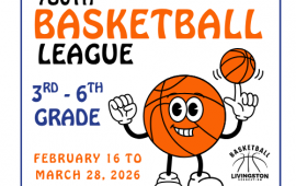 Youth Basketball League Logo