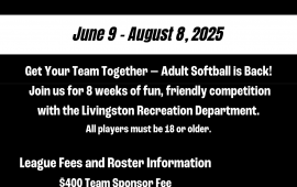 Adult Coed Softball Flyer
