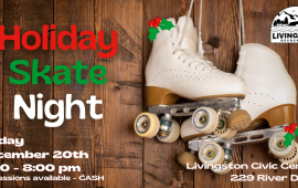 Holiday Skate