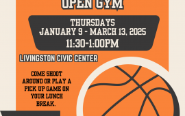 Lunch Hour Open Gym