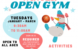 Winter Open Gym