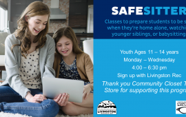 Safe Sitter advertisement