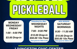Spring 2025 Pickleball