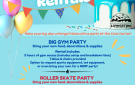 Party Flyer