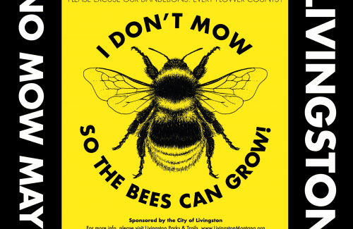 No Mow May poster image. I don't mow so the bees can grow.