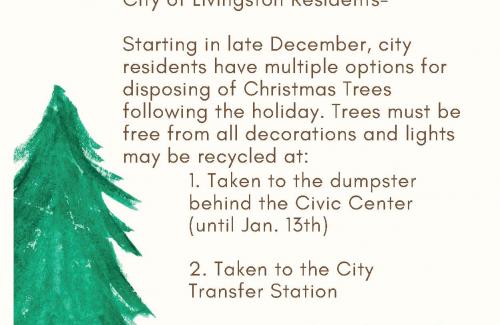 2022 Christmas Tree Disposal Options
