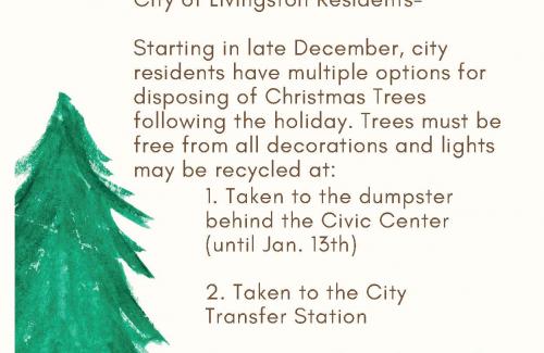 2022 Christmas Tree Disposal Options