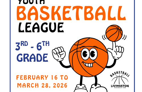 Youth Basketball League Logo