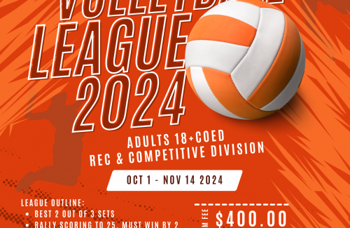 Adult Volleyball Flyer