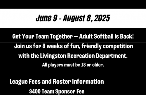 Adult Coed Softball Flyer