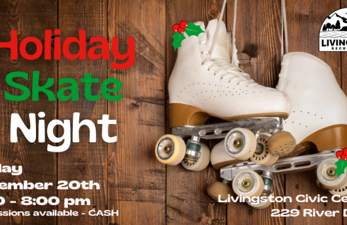 Holiday Skate
