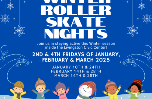 Winter Skate Night 2025