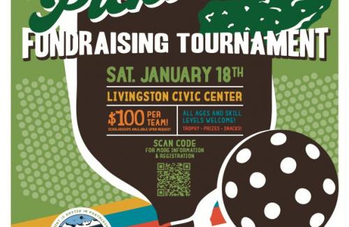Pickleball Tournament Details