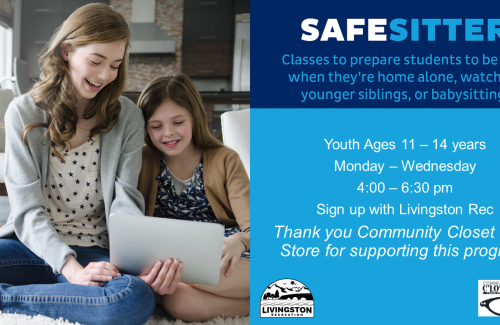 Safe Sitter advertisement