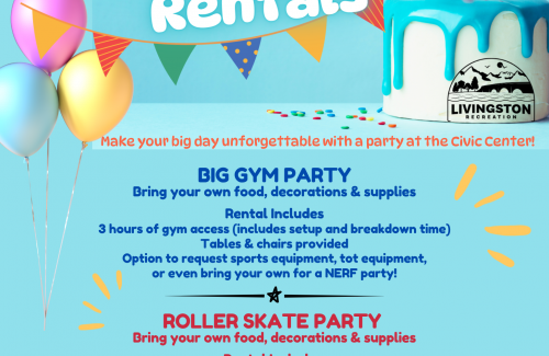 Party Flyer