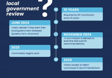 Local Government Review Timeline