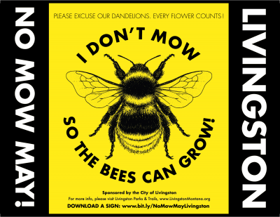 No Mow May poster image. I don't mow so the bees can grow.