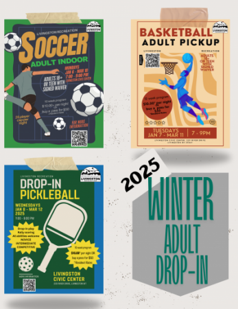Winter Adult Drop-in Flyers