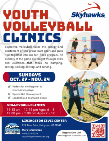 Volleyball Clinic Flyer